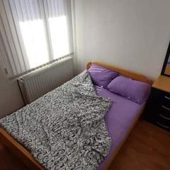 Apartman Ivanovic 4
