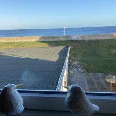 Hagelstein III "Herzmuschel"