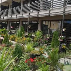 Dream Resort (Adults only 14+)