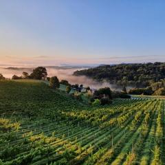 Weingut & Ferienwohnungen Lenhard