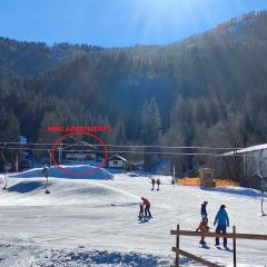 Bad Kleinkirchheim RMG family apartments