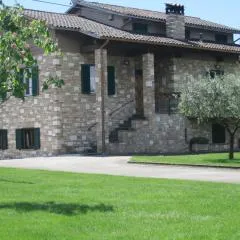 La Strada Di Francesco D'Assisi