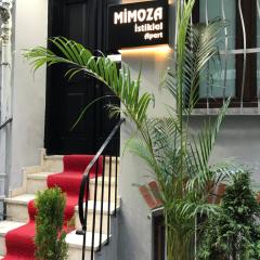 Mimoza İstiklal Apart Hotel