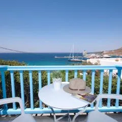 Asimina