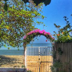 Smell rose beach garden