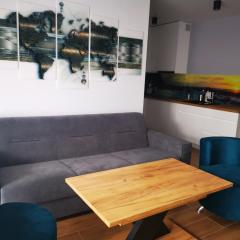 Apartament AMD deluxe Jastrzębia Góra