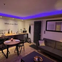 Mille et une nuit, appartement classé 3 étoiles en RDC avec exterieur et parking