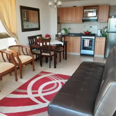 Departamento Atlántico Viña Del Mar