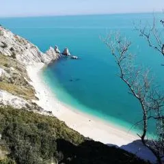 Tobacco Road camping Sirolo