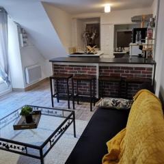 Appartement Cosy au cœur de la Champagne