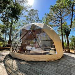 Don Aniceto Lodges & Glamping