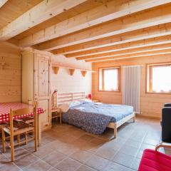 Apartment Albergo Diffuso - Cjasa de Barce-1 by Interhome