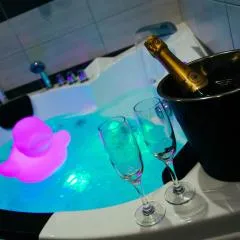 Magnifique maison avec baignoire balnéo