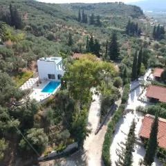 Villa Andrea