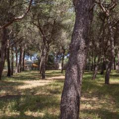 Villetta La Pineta by BarbarHouse