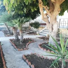VillAmar