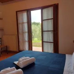 I Girasoli di Lari - Bilocale La Margherita