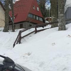 Planinska Kuca Kata -Zabac