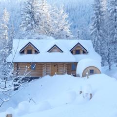 Dom pod Baranią - Wisła - sauna, jacuzzi, tężnia & widok na góry