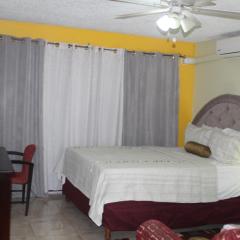 Comfy, Central & Elegant Studio New Kingston