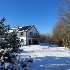 Willa Na Pstrążnicy