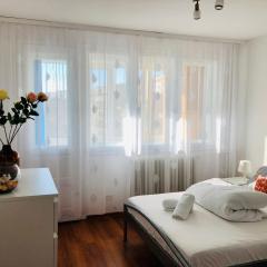 LOVELY apartment near Iulius TOWN - Biggest Shoping Center IP19