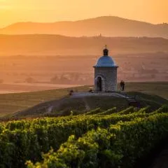 Vinoza - ubytování a vinný sklep Velké Bílovice Rulandová