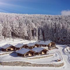 Blockhausen Luxus Chalets