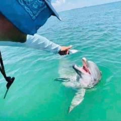 La Buena Pescada - Aransas Pass, TX Coastal Cottage!