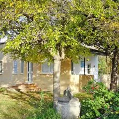 Holiday home, Solanas