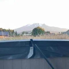 Solar on Snowmass Red Door