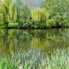 Ferienwohnung am See