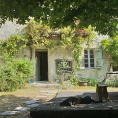 2 jolies maisons atypiques, vue sur le lac de Bajamont