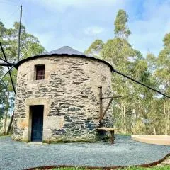 The Cliffs - The Painted Mill