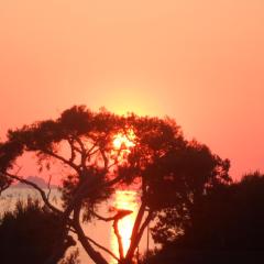appartement vue sur mer