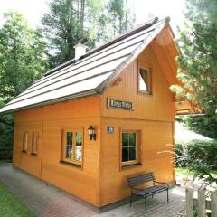 Holiday home in Bad Kleinkirchheim near ski area