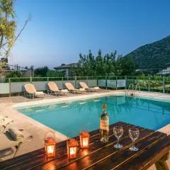 Villa Vlychada - With Private Pool