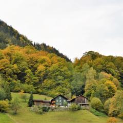 Cozy Apartment near Ski Area in Tschagguns