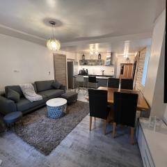 Logement entier : Superbe appartement centre ville