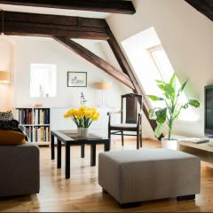 Sunny mansard in the heart of Old Town