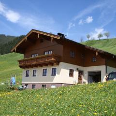 Apartment near the ski area in Wagrain