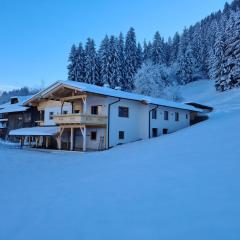 Apartment in Kaltenbach Tyrol near the ski