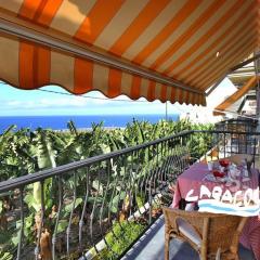 Caracol Trail Mountain La Palma - junto a Trbol