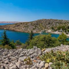 Lovely Home In Cesarica