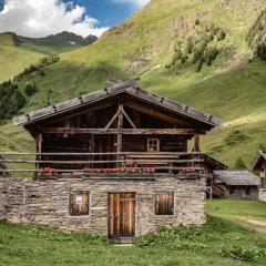 Lechnerhütte Fane Alm