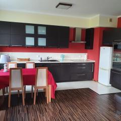 Apartament Glinki