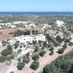 Masseria Pelosella B&B