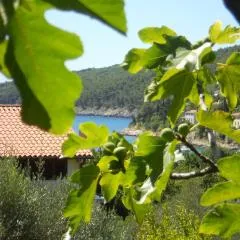 Apartments Ida Sveta Marina