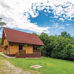 Beautiful Home In Licki Osik With Kitchen