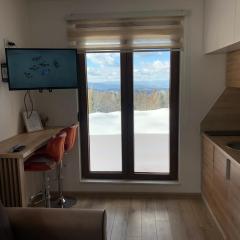 Jahorinska tajna Jahorina